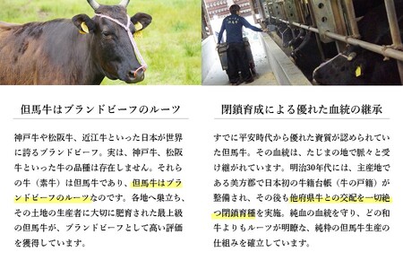 神戸ビーフ　網焼き用・霜降り（1kg）