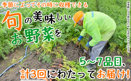 ＜せいよのうまいもんセット 3回定期便＞ 西予市産 愛媛県産 国産 旬 季節の野菜 やさい おまかせ 詰め合わせ 5～7品目 お楽しみ 特産品 百姓百品株式会社 愛媛県 西予市 【冷蔵】『1か月以内に第1回目を順次出荷予定』NHH0005