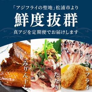 「青のまち 松浦」アジ堪能コース定期便全3回【2ヶ月毎配送】( 真アジ 鯵 アジ あじ アジフライ おかず つまみ 揚げ物 魚 魚介類 海の幸 鮮魚 おつまみ 一品長崎県 松浦市 ふるさと納税 )【D1-033】