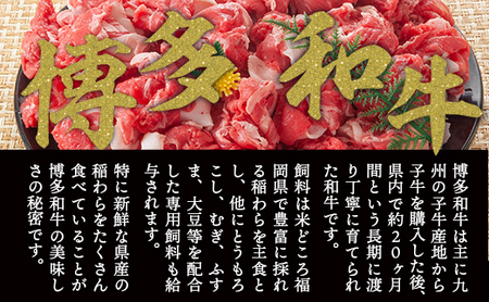 訳アリ!【A4～A5】博多和牛切り落とし　5kg(500g×10パック)　AO027