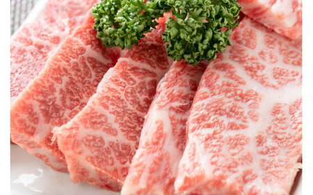 【毎月定期便】訳あり【A4～A5】博多和牛焼肉切り落とし　1kg(500g×2p) 全12回　AO094
