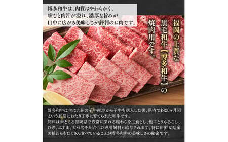 博多和牛焼肉用　1ｋｇ（500ｇ×2ｐ）　AO125