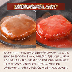みしまの煮込みハンバーグ(デミグラス10個・トマトソース10個)　BI004