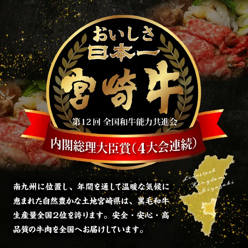 牛肉 しゃぶしゃぶ 牛肉[宮崎牛 サーロイン 500g]