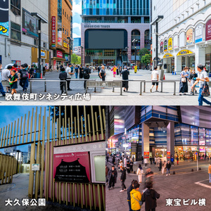 歌舞伎町安全・安心対策寄附金 1口 100,000円 6008-003-S06