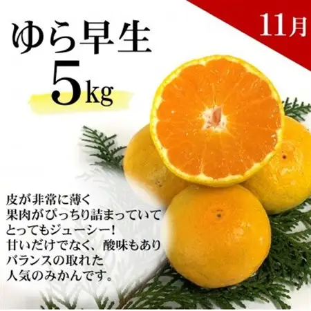 【発送月固定定期便】どの坂果樹園自慢の柑橘定期便(ゆら早生・完熟みかん・不知火)　各約5kg全3回【配送不可地域：離島・北海道・沖縄県】【4052457】