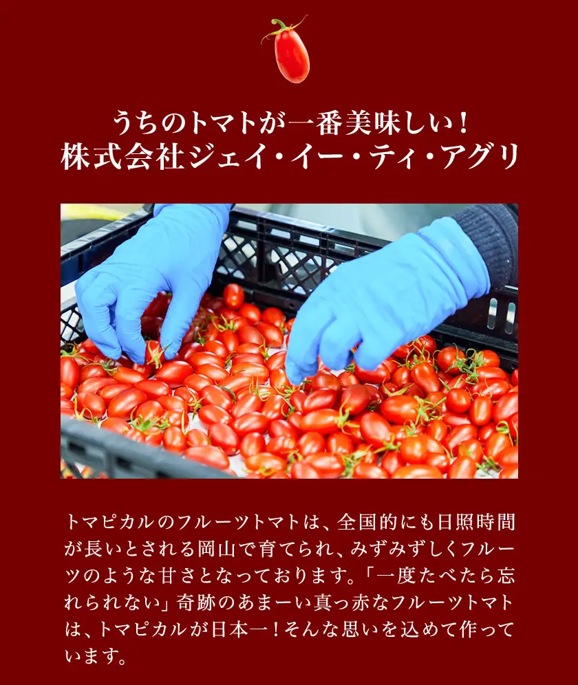 トマピカルネクター 350ml 2本 トマト ジュース