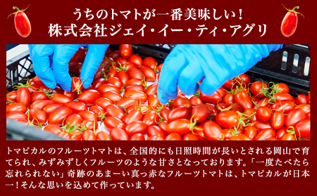 トマピカルネクター 700ml 2本 《30日以内に出荷予定(土日祝除く)》トマト ジュース