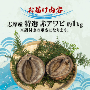 【期間限定】志摩市産天然アワビ（赤） 1kg 冷蔵 新鮮