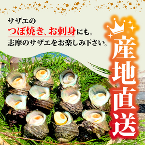 志摩産特選サザエ2ｋｇ入り 三重 志摩 伊勢志摩 新鮮 海鮮 海産物 魚介 魚貝 サザエ 貝 刺身