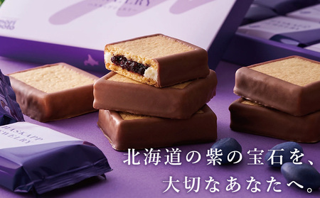 【ふるさと納税限定】ハスカップジュエリー 3種詰合せ 15個入《 北海道千歳市 もりもと》
