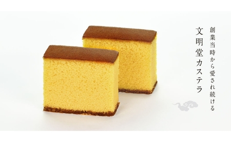 文明堂 カステラ 2本 (1本10切れ) セット 詰め合わせ カット済み 和菓子 焼菓子 焼き菓子 お菓子 菓子 おやつ デザート スイーツ 文明堂カステラ 添加物不使用 保存料不使用 ギフト 贈り物 プレゼント 兵庫 兵庫県 稲美町