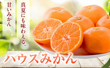 ハウスみかん 2kg フルーツ 果物 みかん BJBI001