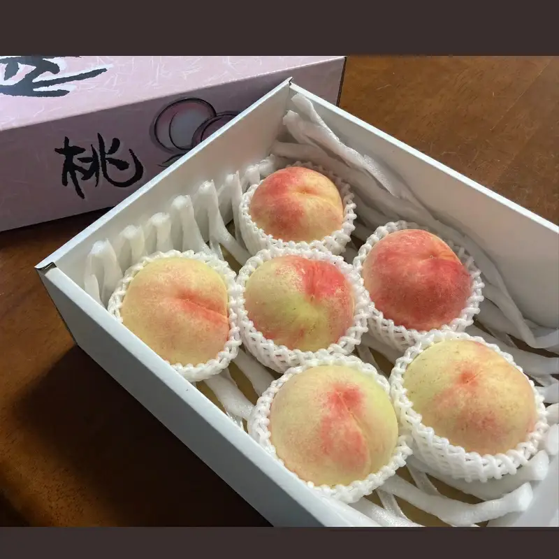 和歌山県産の桃 約2kg（6~8個）【2026年7月上旬～8月上旬発送】 [Ei1]【BJ001-eiw012】