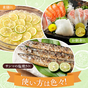 先行予約 ハウスすだち 1箱（約1kg）