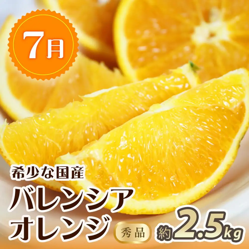 【7・8・10月 全3回】紀州和歌山産旬のフルーツセット（バレンシア・桃・ひらたねなし柿）【UT79】