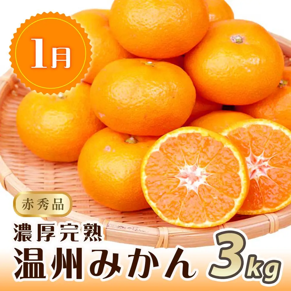 【1・4・7月 全3回】紀州和歌山産旬のフルーツセット（みかん・なつみ・バレンシア）【UT82】