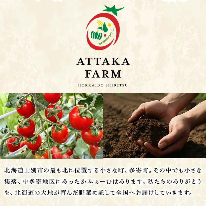 【B7054】＜特別栽培＞北海道士別市産 きらめきトマト Sサイズ (1.6kg) 【2026年7月以降順次発送】野菜 とまと トマト 新鮮 産地直送 甘い 完熟 リコピン 北海道 北海道産 国産 旬 【あったかふぁーむ】