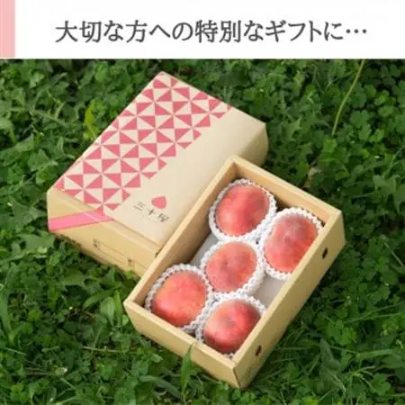 「2026年発送」三十屋木熟桃 【1.5kg】【配送不可地域：離島】【1515509】