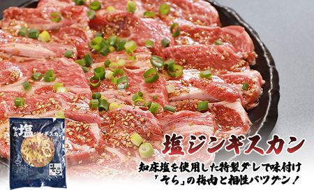【定期便：全6回】知床ジンギスカン店「そら」知床ジンギスカン味付き「塩ダレ」生ラム肩ロース900g（300g×3）【1601801】