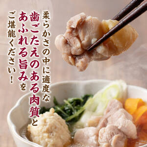みやざき地頭鶏 コラーゲン鍋セット 【 鶏肉 国産 九州産 鳥 宮崎県産 モモ ムネつくね 手羽 】