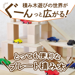 遊びの世界が広がる積み木！プレート積み木ミニセット [h007]