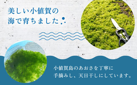 【全2回定期便】小値賀でとれたあおさ(12g入)×2袋 [DAS027] あおさのり 小値賀 海