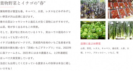 道の駅まくらがの里古河　季節の新鮮野菜おまかせBセット_ ※北海道・沖縄・離島への配送不可  _BQ04