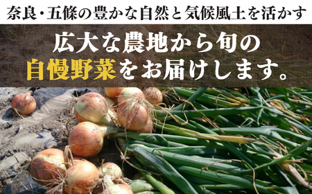 【なら育ち 益田農園】玉ねぎ約 5kg サイズ混合｜ヤサイ 野菜 ベジタブル 玉ねぎ オニオン 奈良県 五條市