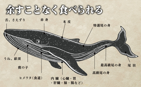 鯨の詰合せ セット 鯨料理 FG035