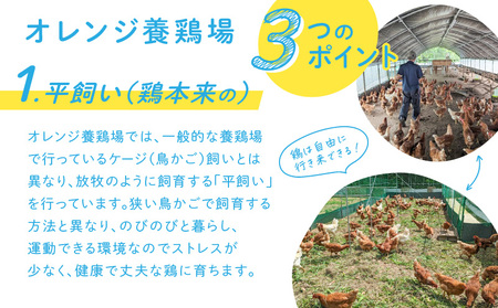 奄卵 （ あまらん ）～ 平飼い 有精卵 30個 A115-007 卵 たまご 養鶏 鶏 奄美ファーム ふるさと納税 奄美市 おすすめ ランキング プレゼント ギフト
