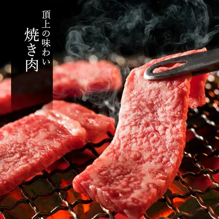 松阪牛極上焼肉 おまかせ6種 600g [ 松阪牛 ] / 3-171