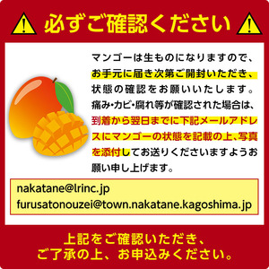 n257 ＜先行予約＞ マンゴー 1kg・2～3個入 鹿児島県 種子島産 完熟 果物 フルーツ 箱入り 冷蔵 【種子屋久農業協同組合】