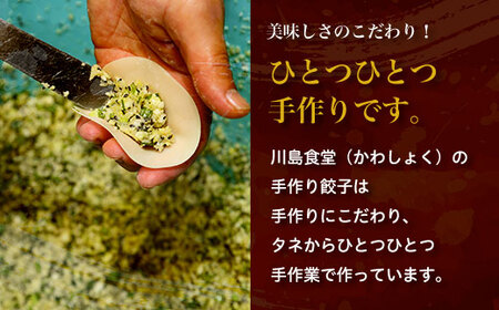 地元に愛される絶品手作り冷凍餃子60個 山武市産のニラをふんだんに使用！ ／ふるさと納税 餃子 キョウザ 冷凍 ニラ 中華 お惣菜 千葉県 山武市 SMBN002