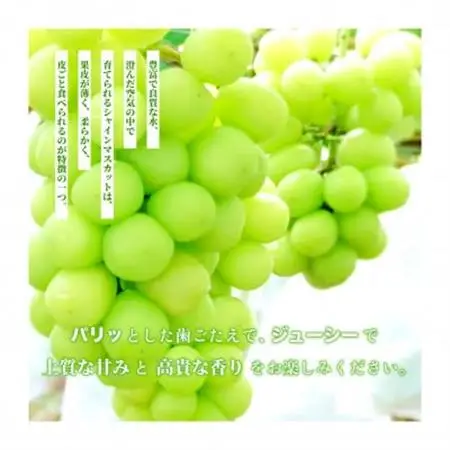 【産地直送】厳選高級シャインマスカット 2kg(3～4房)【配送不可地域：離島・沖縄県】【1518455】