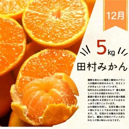 【発送月固定定期便】紀州和歌山産旬のフルーツセット(田村みかん・はるみ・不知火)全3回【4052582】