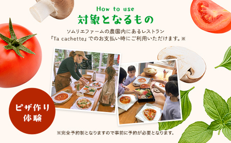 ピザ作り体験、野菜収穫体験にも利用可！ 農園レストラン「Ta cachette」お食事券3,000円分 ／ 体験 チケット 野菜 収獲 ピザ 利用券 千葉県 山武市 SMBP001