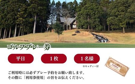 【山武グリーンカントリー倶楽部】ゴルフプレー券（平日用）／ ゴルフ場 利用券 ゴルフプレー券 プレーチケット  Golf チケット ゴルフプレー プレー券 千葉県 山武市 SMAM003