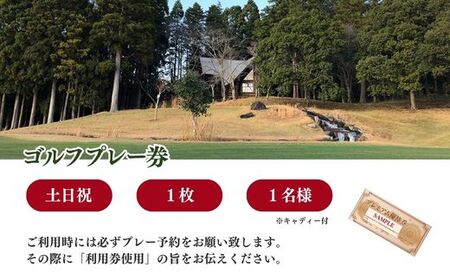 【山武グリーンカントリー倶楽部】ゴルフプレー券（土日・祝日用） ／ ゴルフ場 利用券 ゴルフプレー券 プレーチケット  Golf チケット ゴルフプレー プレー券 千葉県 山武市 SMAM004