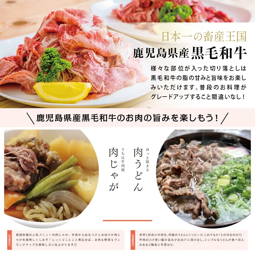 【鹿児島県産】A5等級黒毛和牛切落し 計1kg（250g×4P） 国産牛 牛肉 国産 おかず カレー 牛丼 肉じゃが カミチク 切り落とし 小分けパック 冷凍
