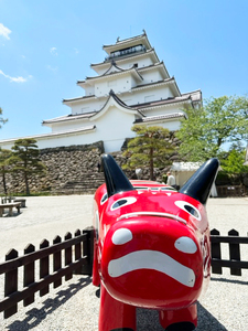 会津若松市産 ミルキークイーン 5kg×2袋セット｜令和7年産 2025年産 お米 米 こめ コメ 精米 白米 会津産 [1024]