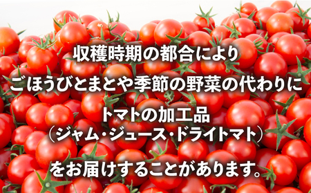 定期便 季節 野菜 詰め合わせ 1kg 6ヶ月 連続お届け 果物 産地直送 朝どれ 詰め合わせ とれたて 濃厚 ごほうびとまと 風の子ファーム ﾌﾙｰﾂﾄﾏﾄ ほうれんそう 白菜 ｷｬﾍﾞﾂ ﾌﾞﾛｯｺﾘｰ そら豆 ﾔﾝｸﾞｺｰﾝ とうもろこし ﾔﾝｸﾞｺｰﾝ 唐辛子 ﾊﾟﾌﾟﾘｶ 水 ﾅｽ ｵｸﾗ ｷｭｳﾘ ｶﾘﾌﾛｰﾚ 埼玉県 羽生市