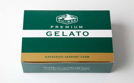 （冷凍） ベジタブル ジェラート 6個入り ／ 葛城山麓農園 アイス フルーツ 野菜 大和いも 抹茶 特産品 奈良県 御所市