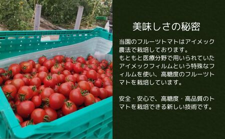 トマト フルーツトマト 3.6kg～5.4kg フルティカ 【トマト】