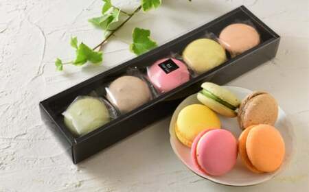 patisserie petit ami のマカロン5個入4箱セット ／ スイーツ お菓子 大きめサイズ 奈良県 御所市