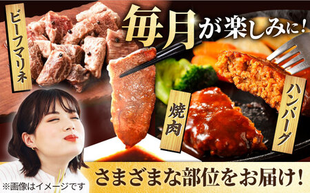 【6回定期便】しろいし牛1頭まるごと 食卓定期便 / 牛肉 [IAH222]