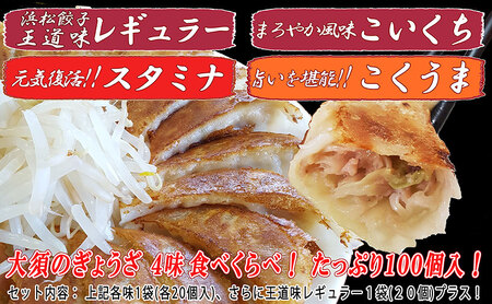 【定期便6回】浜松餃子 大須のぎょうざ［ 浜松ぎょうざ 贅沢バラエティーセット 4味 ＜ レギュラー、こいくち、スタミナ、こくうま ＞］× 5袋（1袋20個入、合計100個） 