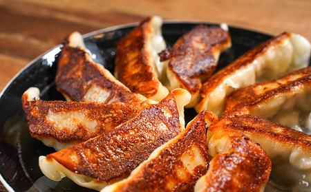 【奄美島豚】餃子 24個（12個×2袋・約680g） 豚肉 島豚