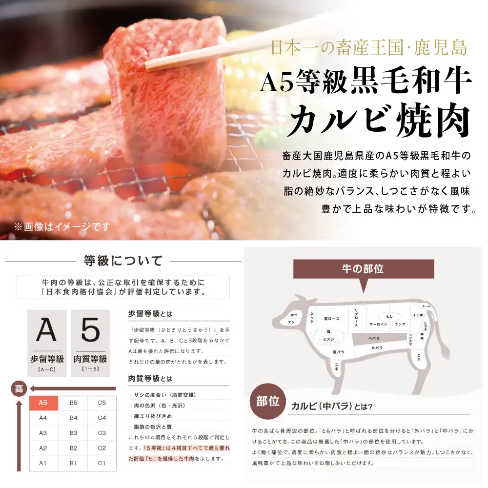 【鹿児島県産】A5等級黒毛和牛 カルビ焼肉 計600g（200g×3P） 国産牛 牛肉 国産 焼き肉 カミチク BBQ バーベキュー アウトドア バラ 丼 プレート 小分けパック 冷凍