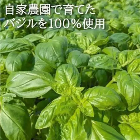 濃厚・無添加　バジルソース(ジェノベーゼソース)　パックタイプ　100g×3袋【配送不可地域：離島】【1519757】